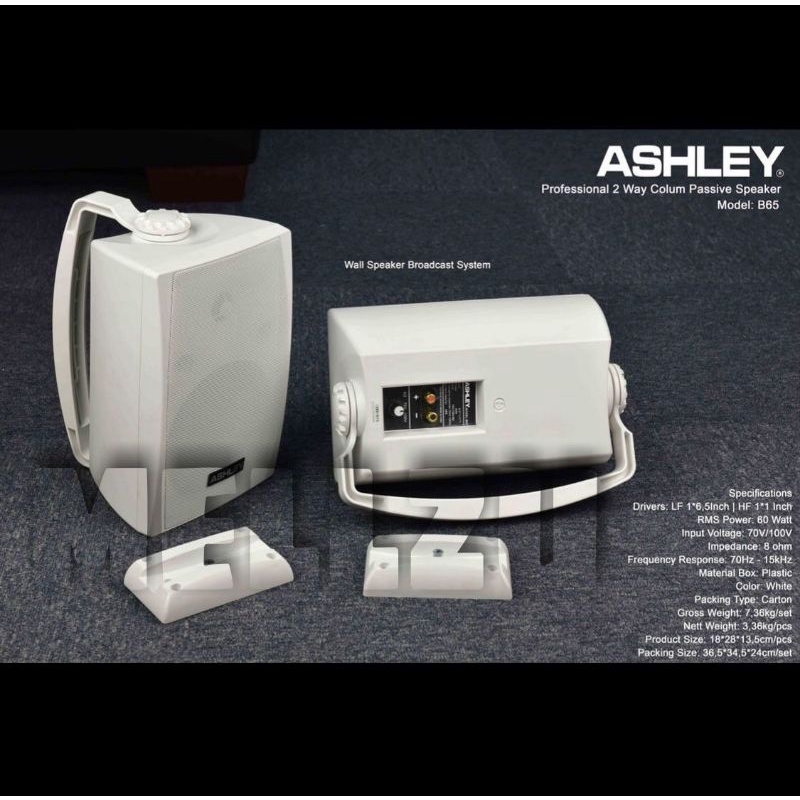Speaker Pasif Ashley B65 Original 6,5 inch Monitor Ashley B 65 Passive