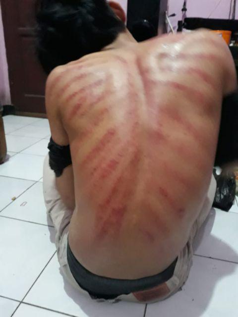 Pisau Buah / Pisau Apel / Pemotong Sayur / Serba Guna - Genvana