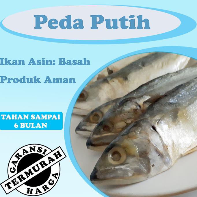 

Peda Putih Harga Ekonomis Termurah