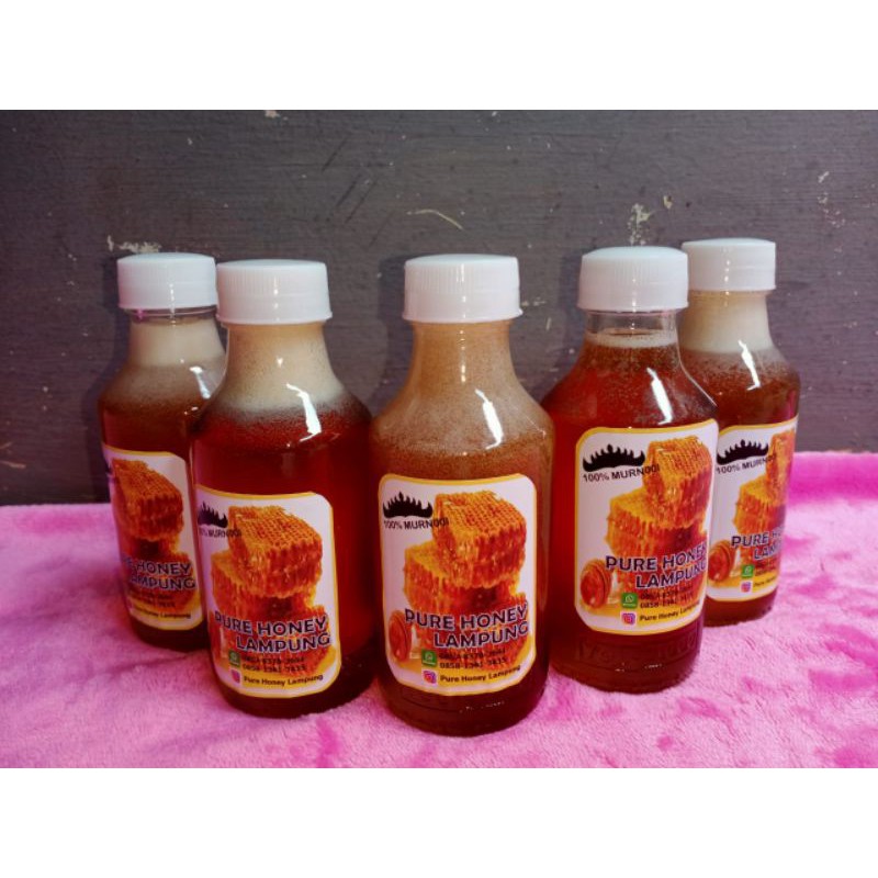 

Pure Honey Lampung Madu Asli Dari Hutan Lampung Ukuran 260gr