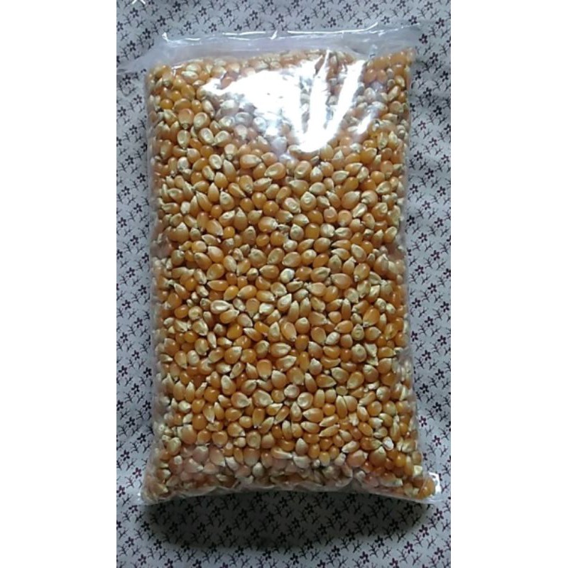 

JAGUNG POPCORN MENTAH kemasan 500 gram