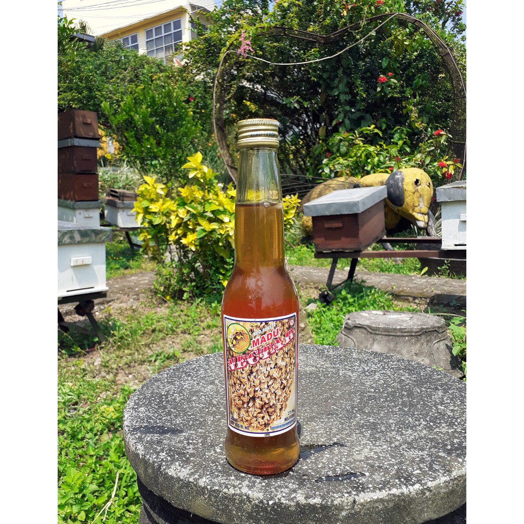 

Madu Murni 5 Nektar tanaman ( Lengkeng, Randu , Kopi , Rambutan, Sono ) Ready 500ml, 275ml madu asli