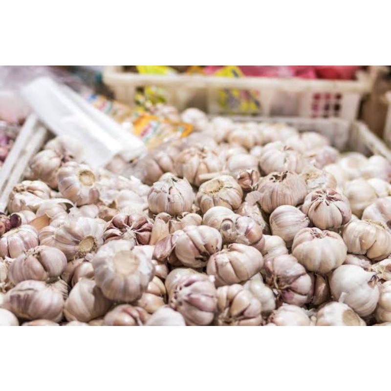 

bawang putih per 1kg