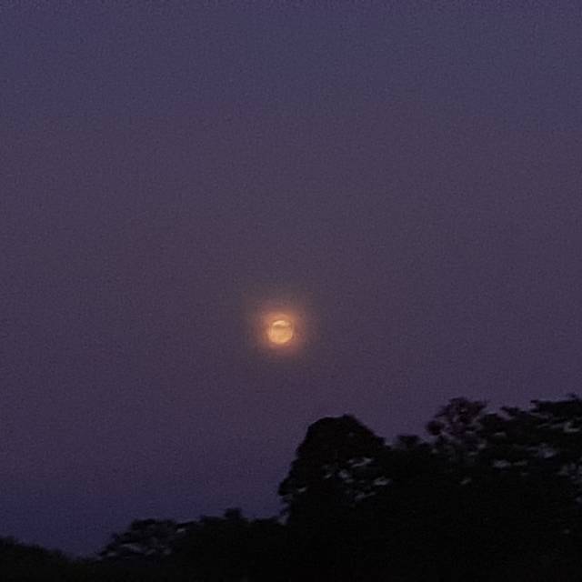 syamsinurfatirrodhiya