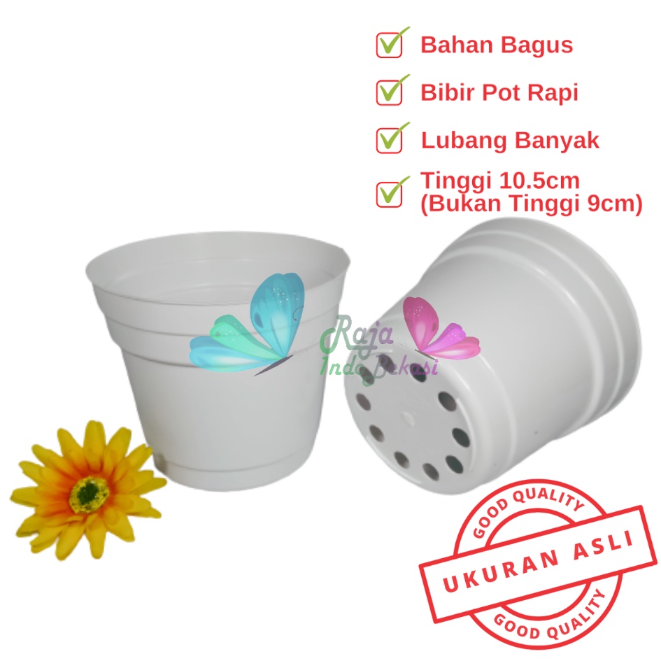 Rajaindobekasi Pot 12 Putih Polos - Pot 12 Cm Putih Kecil Mini Minimalis Plastik Kaktus Sukulen Mini Murah Pot Bibit Pembibitan