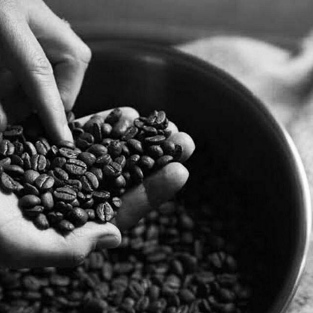 

Kopi Robusta Nongkojajar Pasuruan