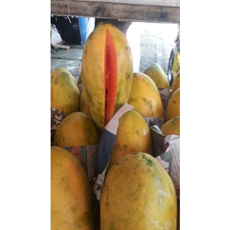 

PEPAYA CALIFORNIA PREMIUM 1KG