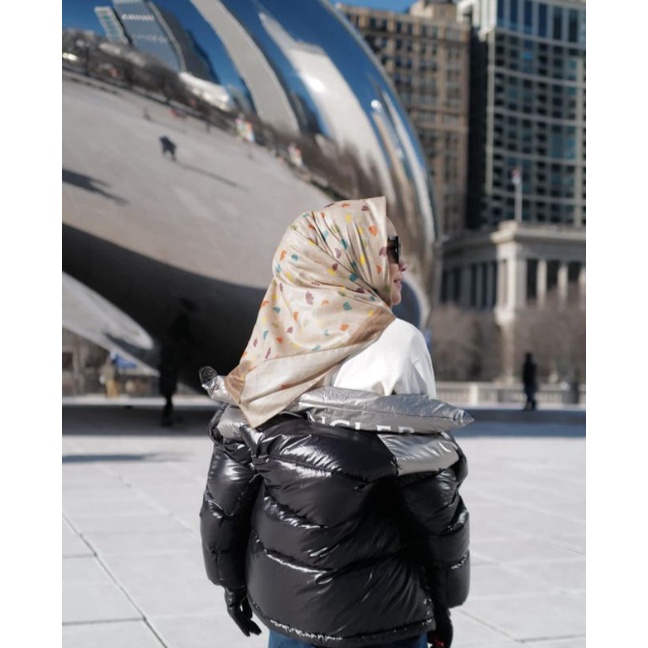 Deenay Illinois Series