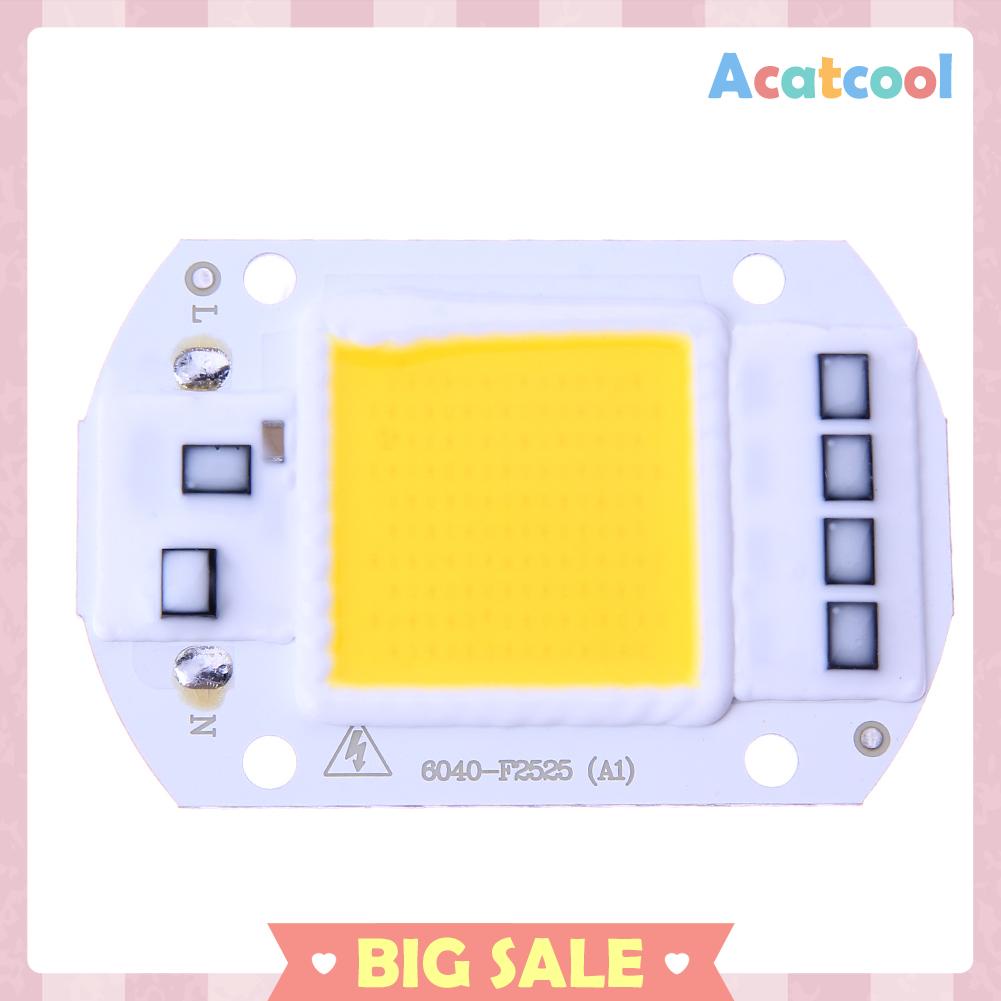 Chip Input Ic Driver Led Cob 50w 220v