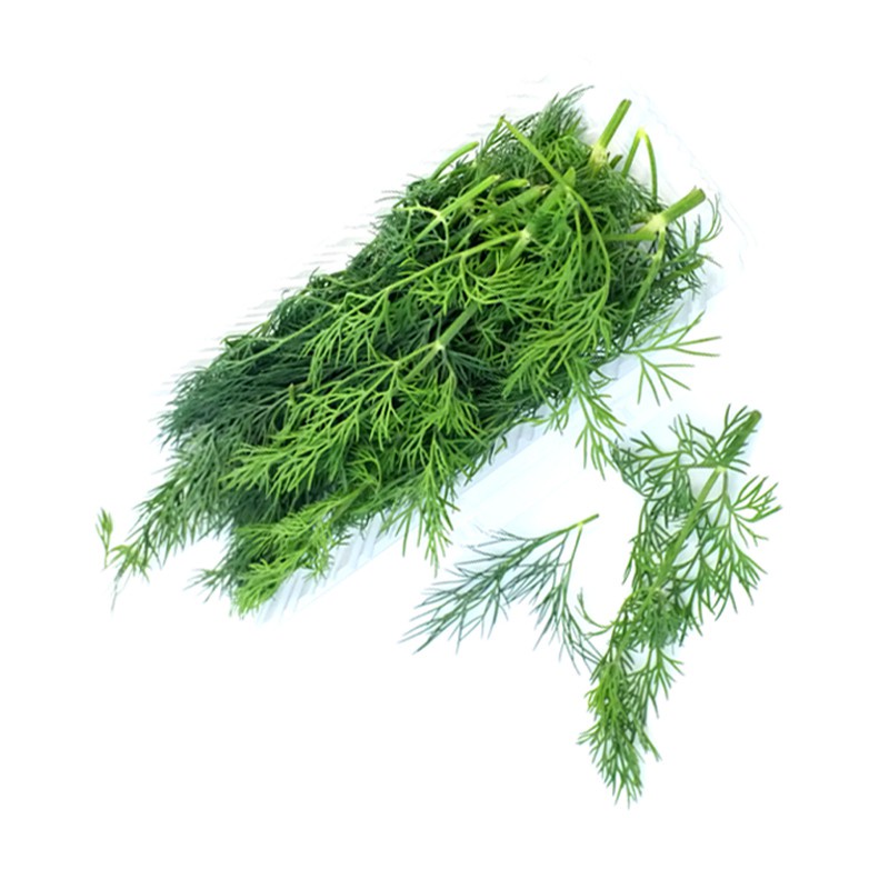 Daun Adas / Daun Dill (50gr / pack)