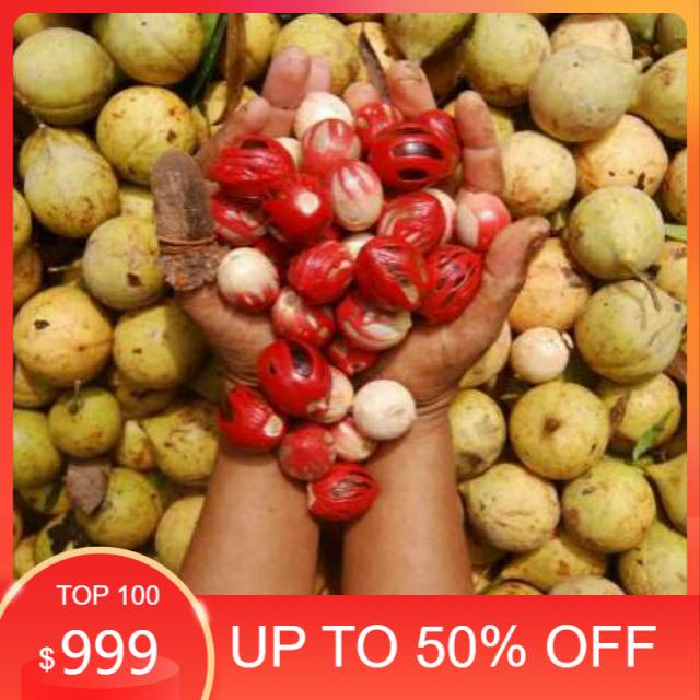 

Ready stock Buah pala tua bulat 1kg segar organik siap petik