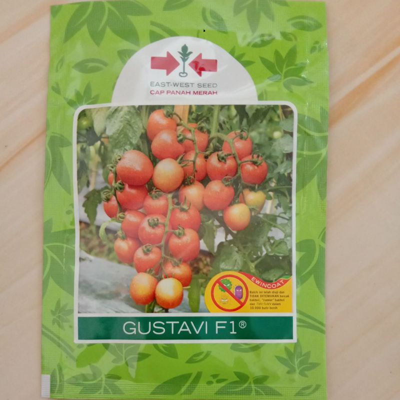 Benih Tomat GUSTAVI F1
