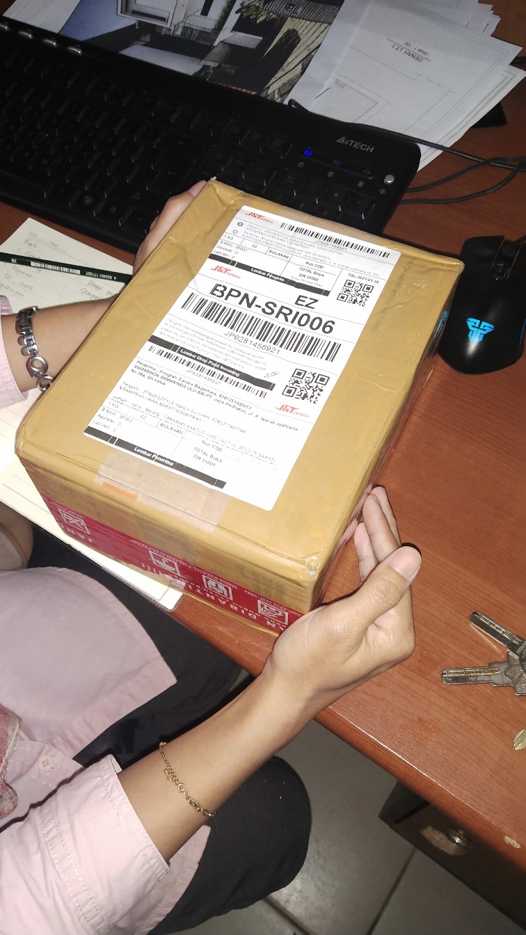 Tanaman Kaktus Hias Cactus Golden Barrel Barel