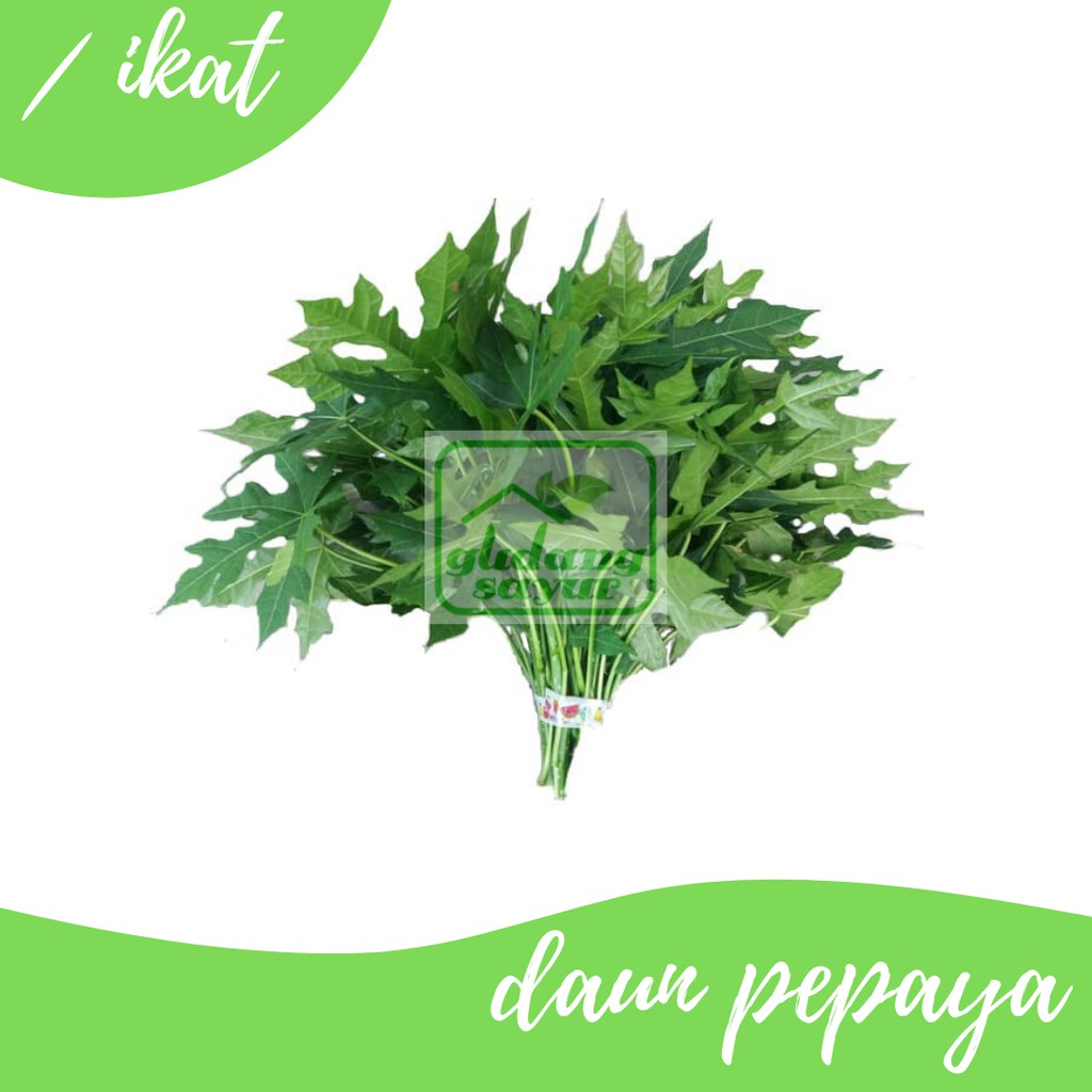 

Daun Pepaya 500g Gudang Sayur Purwokerto