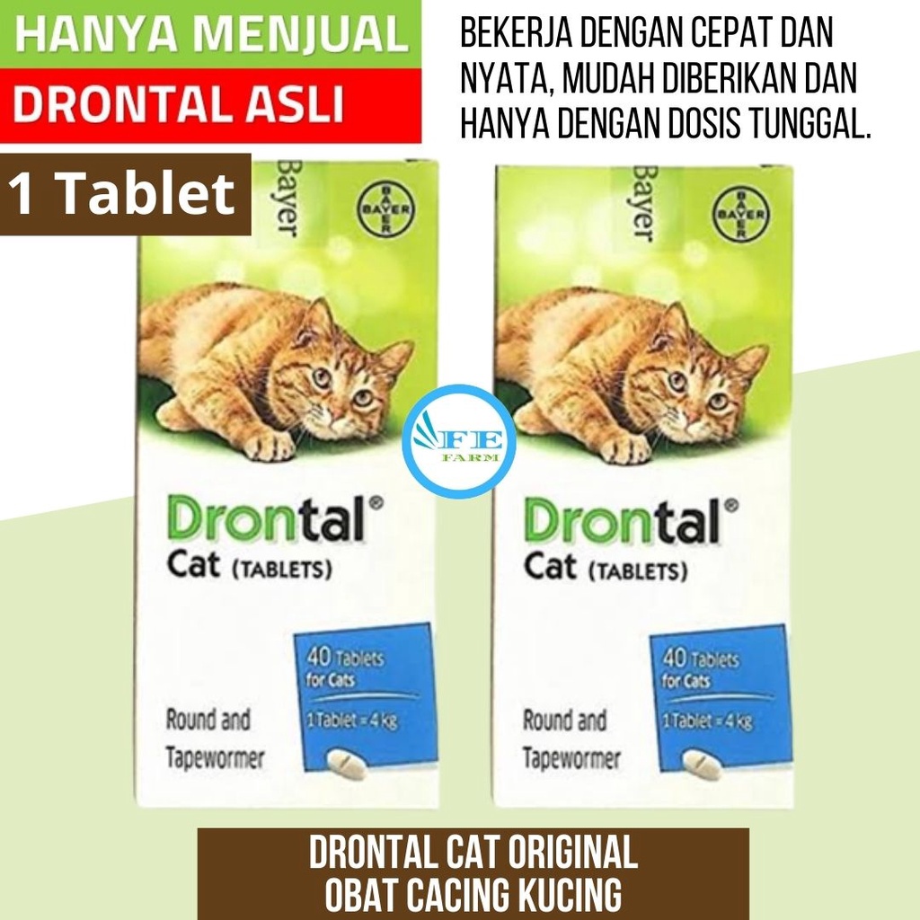 DRONTAL CAT KUCING 1 TABLET - Obat Infeksi Cacing Hewan Kucing Cat Kitten Adult Original FEFARM