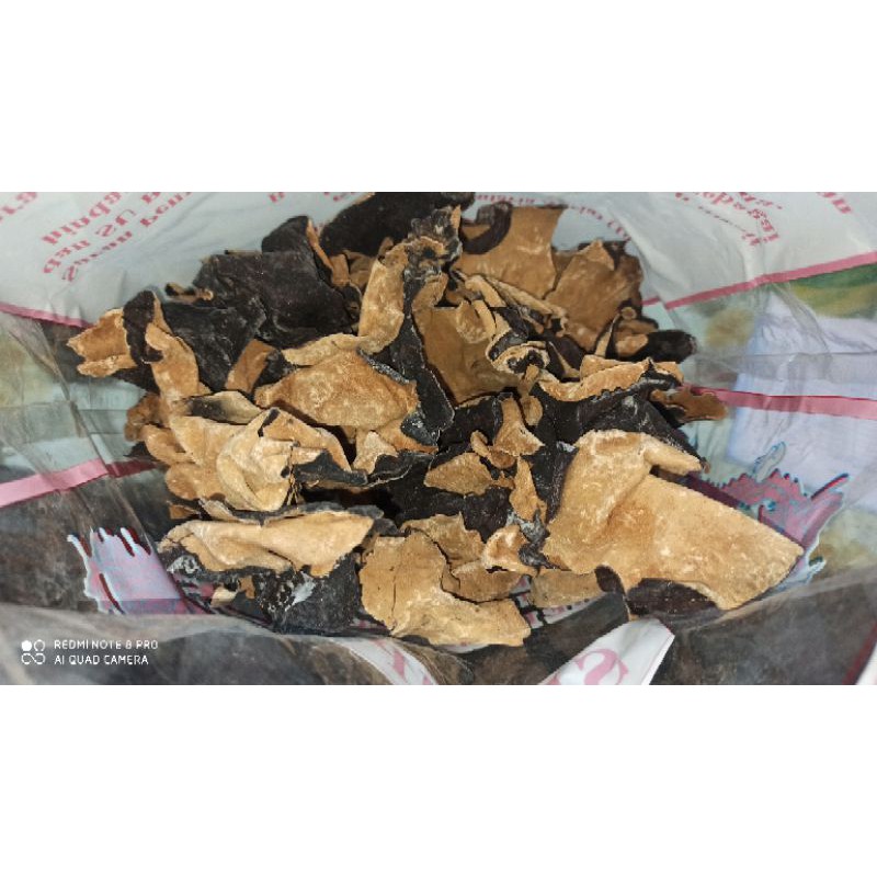 

Jamur kuping Kopi / Jamur kuping Pahit