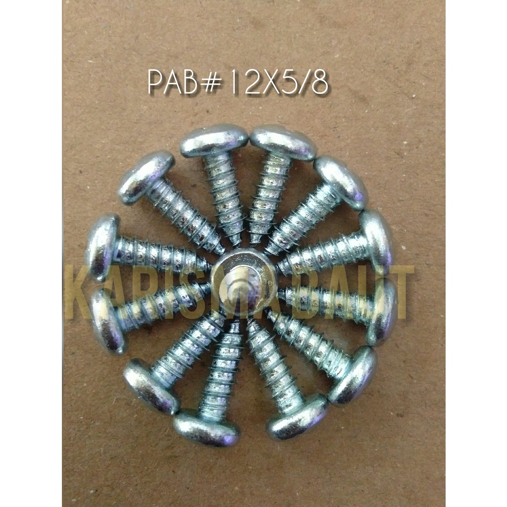 Sekrup PAB #12X5/8  /skrup tapping P (obeng +)