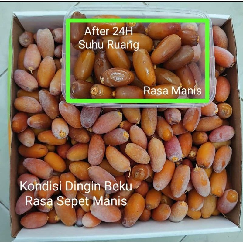 

kurma muda ruthob libya frozen 1kg premium quality