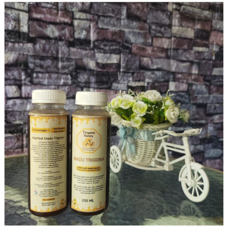 

Madu trigona / kelulut / klanceng Asli original 100%