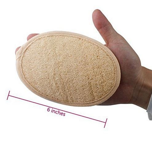 Natural Loofah Sponge Brush - Sikat Mandi Natural dari Tanaman Luffa