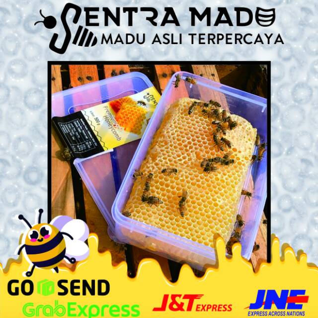 

Sarang Madu Asli 500gr SENTRA MADU Sarang Madu Murni Sarang Madu Premium honeyComb 500gr