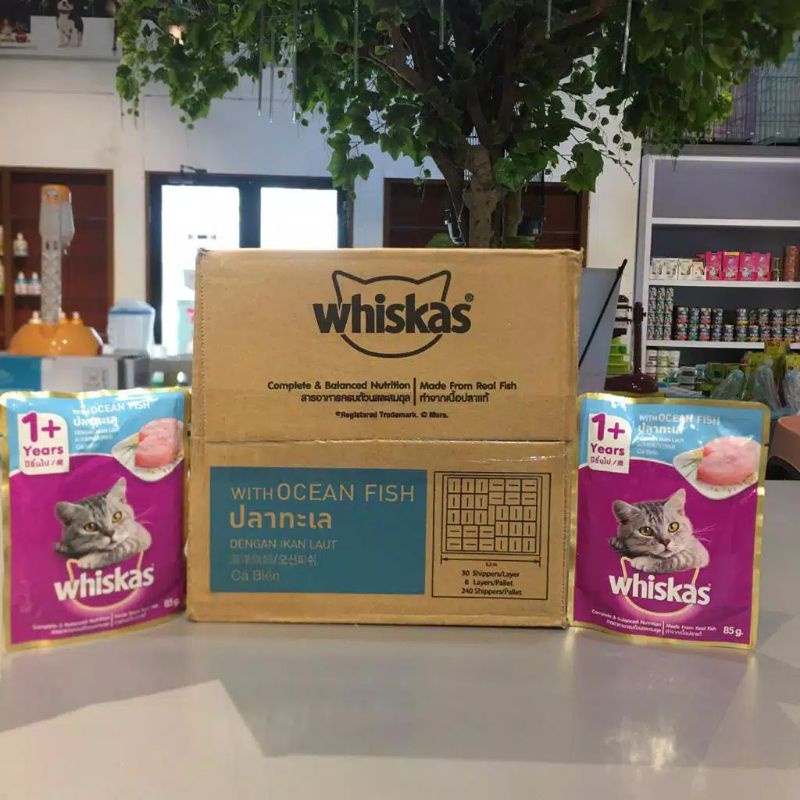 Whiskas Pouch 80/85gr wet food Kemasan dus isi 24 / whiskas junior tuna junior mackerel