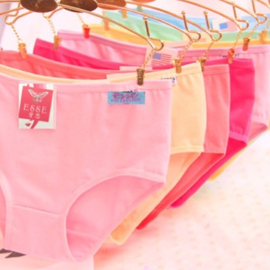 3pcs CELANA DALAM WANITA MEREK ESSE UNDERWARE Uk M, L,XL, XXL,XXXL