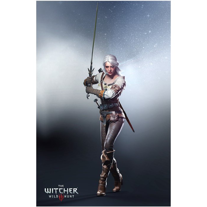 PP324119 The Witcher 3 poster