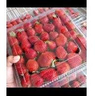 

strawberry mika