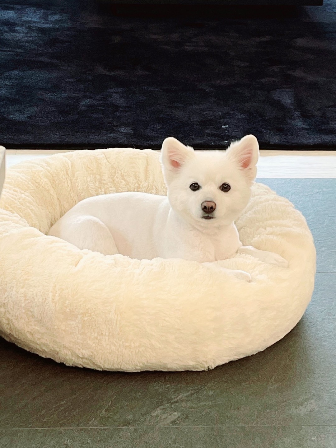 Isi 100 Sachet Silver Kombinasi 500 Gr Kpack Aluminium Ziplock Kemasan Snack Bubuk Gula