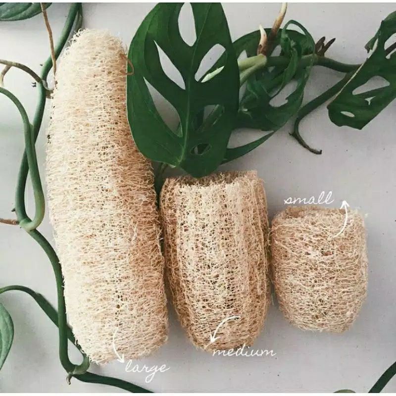 SPONS MANDI LOOFAH/SPONS CUCI PIRING/SPONS SCRUB ALAMI OYONG/GAMBAS