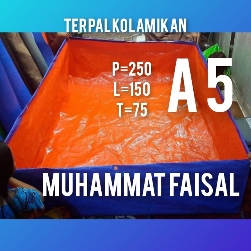 TERPAL KOLAM IKAN 250×150×75 A5 SAKURA  KOLAM TERPAL TERPAL KOLAM