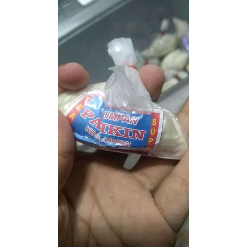 umpan ikan paikin kecil wangi