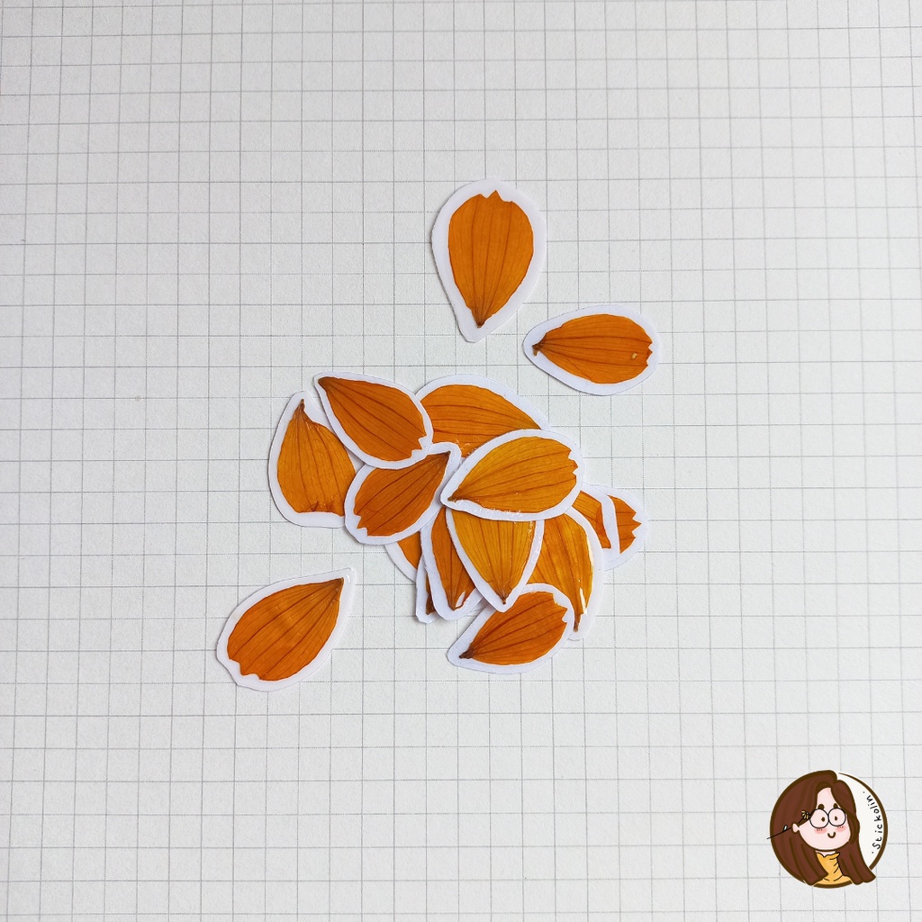 

Dark Yellow Cosmos Petals Dried & Pressed Flower Sticker / Stiker Bunga Kosmos Tekan (u/kerajinan tangan, hiasan, journal)