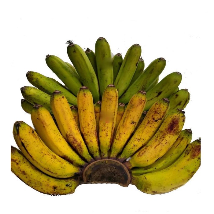 

Buah Pisang Barangan Medan