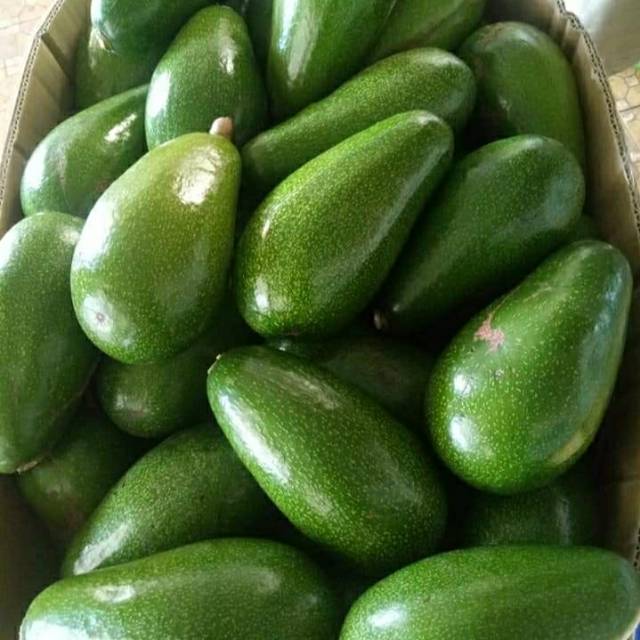 

Alpukat Mentega Pulen Large 2 kg isi 6-7 buah