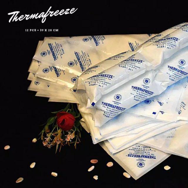 Pengganti Dry Ice - Pengganti Biang Es - Thermafrizze