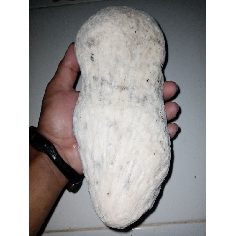 Batu.sejenis muntahan paus.