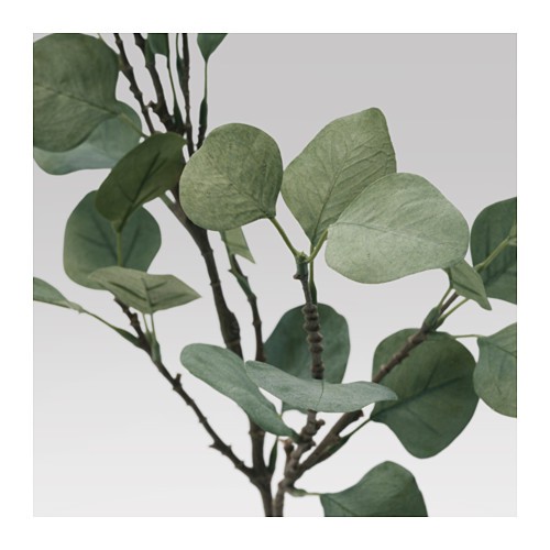 SMYCKA Daun tiruan, eucalyptus/hijau 65 cm