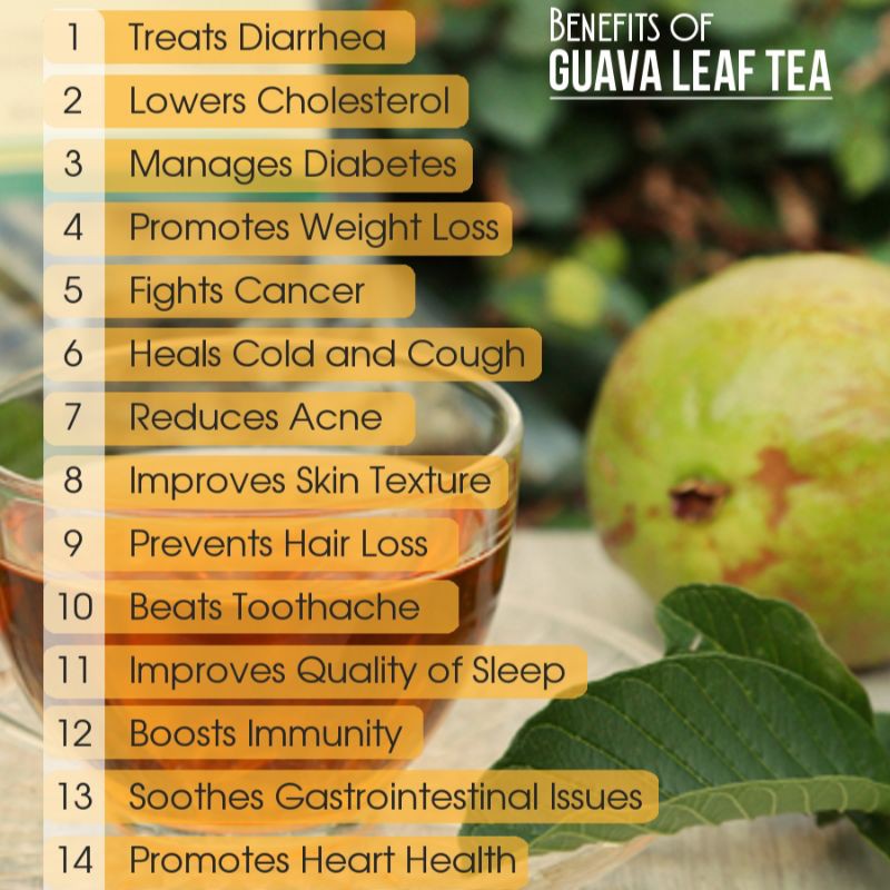 GUAVA LEAF TEA : TEH DAUN JAMBU BIJI PURE 100% ORGANIC (30 TEA BAG)