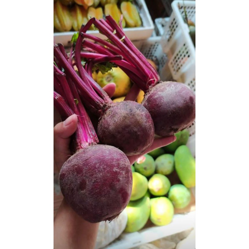 

Buah Beet Super Penambah Darah Berat 1 kg (Pengiriman Medan)