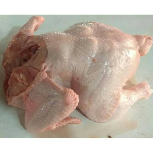 

Ayam utuh non leher dan kaki