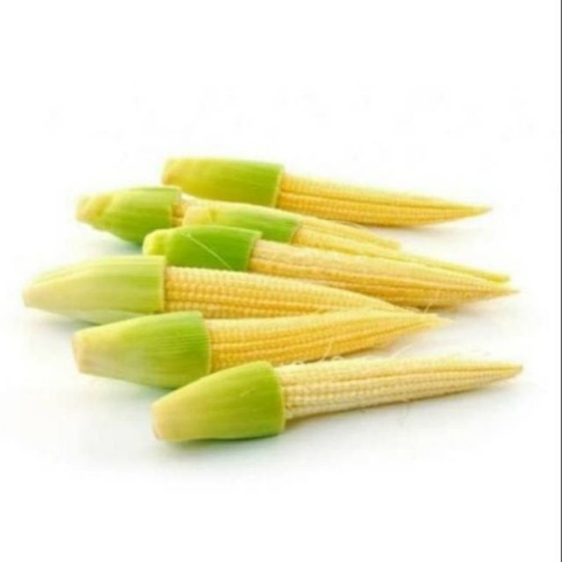 

janten atau baby corn
