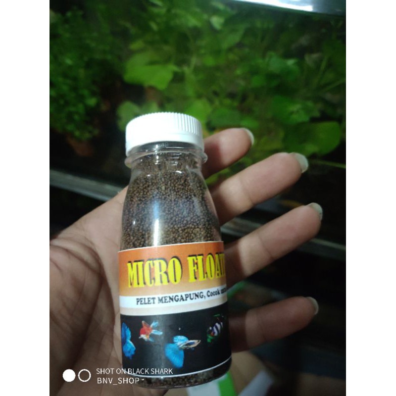 micro pellets Pakan ikan kecil Aquascape aqurium