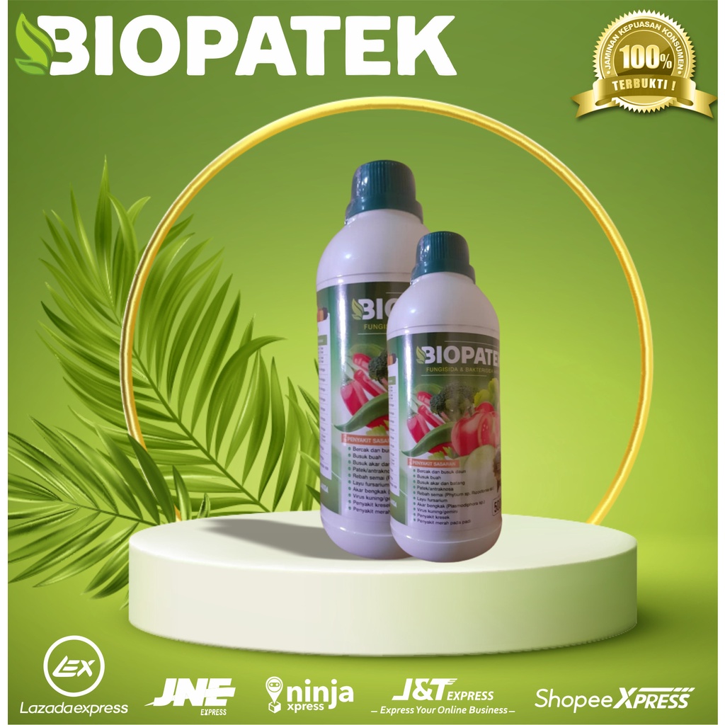 OBAT HAMA PATEK CABE, OBAT CABAI PATEK, BIOPATEK FUNGISIDA PATEK CABE, OBAT PATEK CABE TERBAIK, FUNG