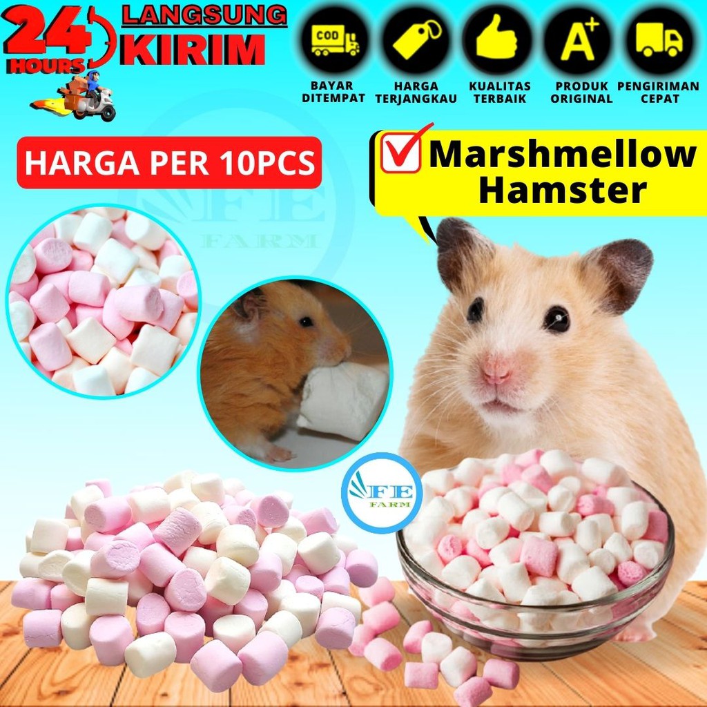 Marshmellow Snack Hamster dan Sugar Glider FEFARM