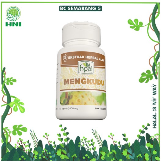 MENGKUDU - MENGKUDU KAPSUL - EKSTRAK MENGKUDU - OBAT DARAH TINGGI - HIPERTENSI - MENGKUDU HNI - HPAI