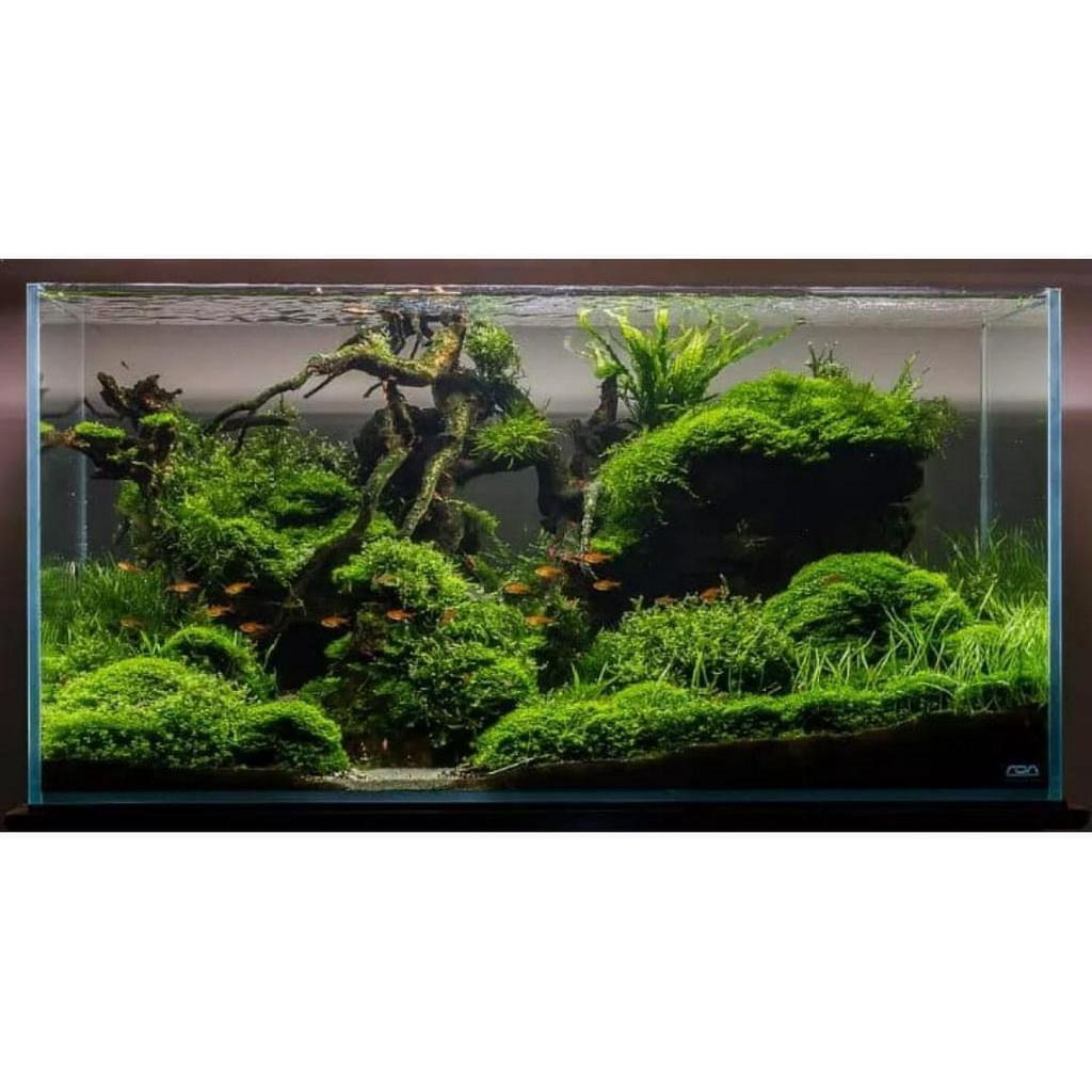 Lampu aquarium 50cm PUTIH / Lampu led / Lampu celup