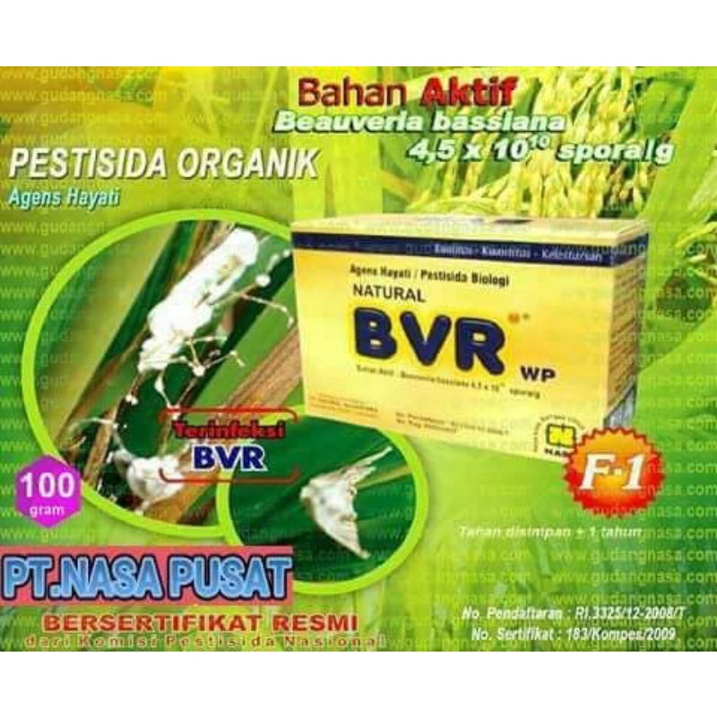 BVR NASA OBAT SEMPROT HAMA PADI, obat pertanian, insektisida obat pertanian, obat hama wereng, kutu 