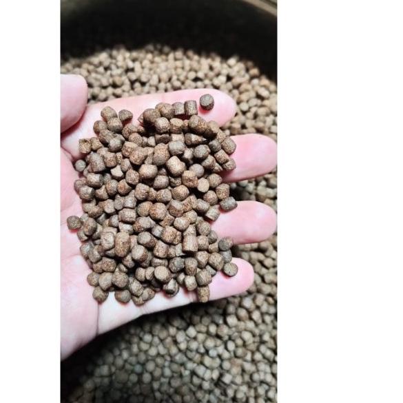 ➱ Pakan Koi Lokal Tak Gentar LTG 1 kg ☈